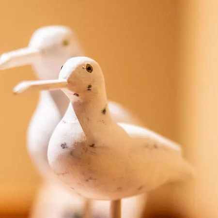 Péniche D'hôtes Ms Elisabeth Bateau-hôtel 3*