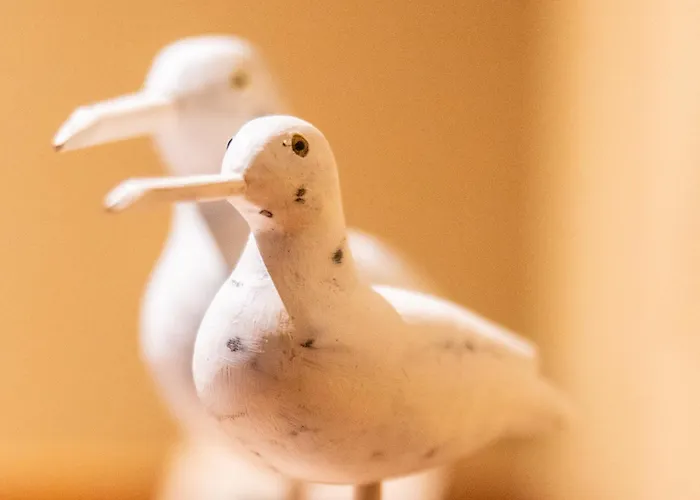 Péniche D'hôtes Ms Elisabeth Bateau-hôtel 3*