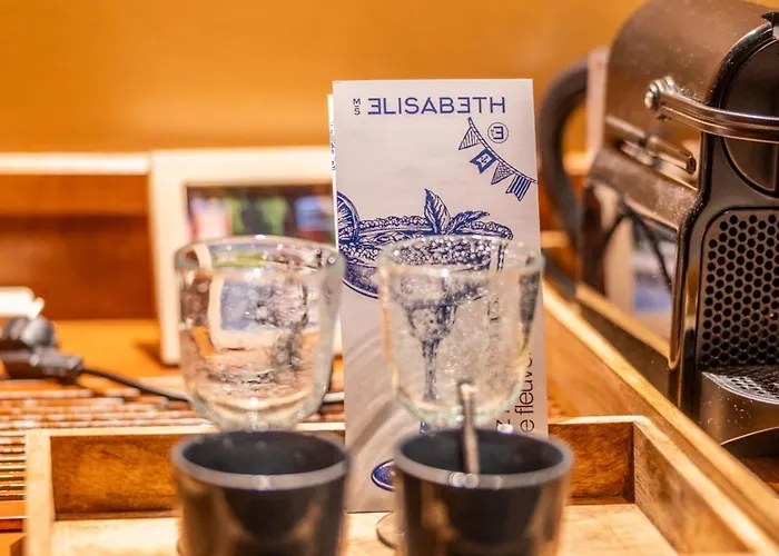 Péniche D'hôtes Ms Elisabeth Namur